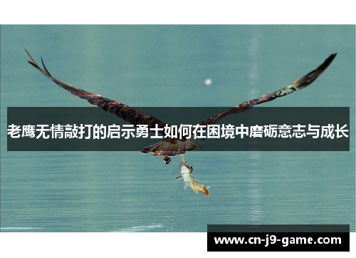 老鹰无情敲打的启示勇士如何在困境中磨砺意志与成长