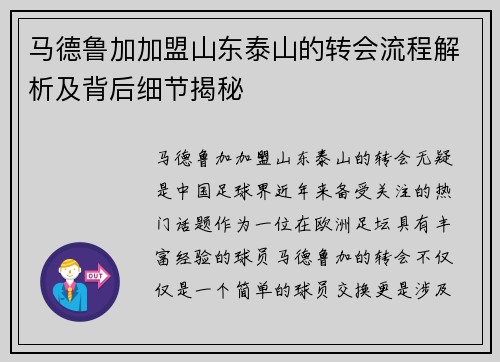 马德鲁加加盟山东泰山的转会流程解析及背后细节揭秘